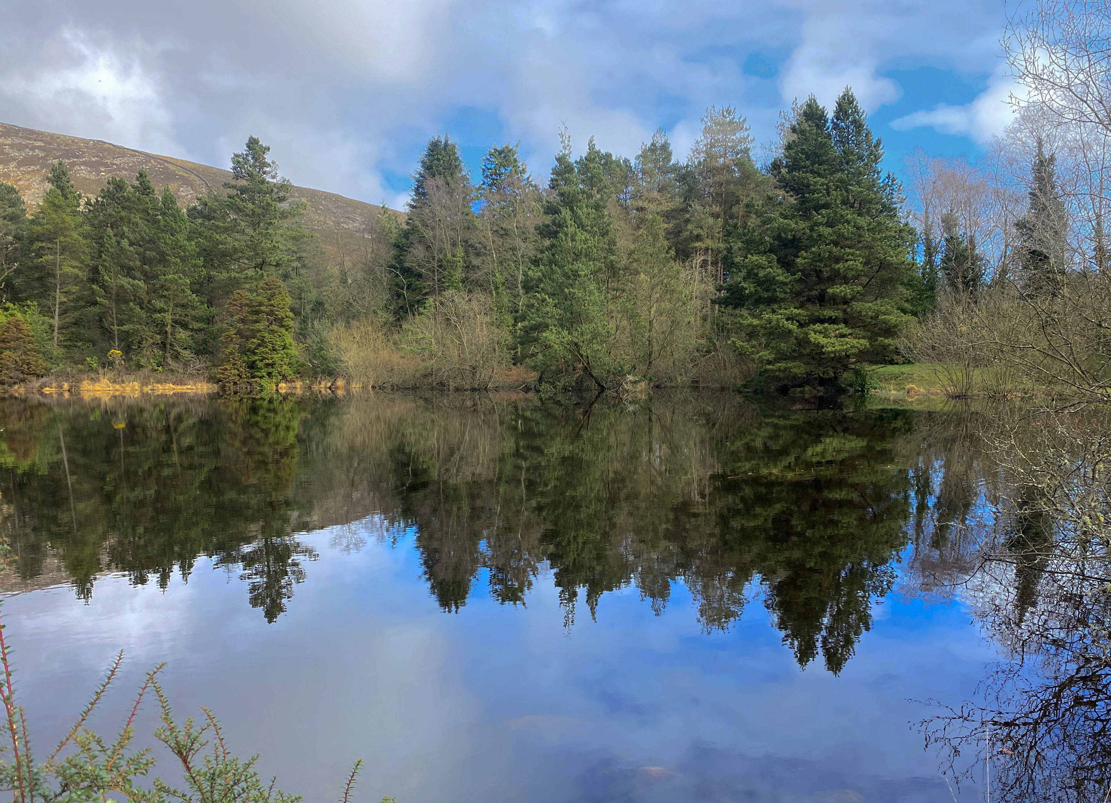 Silent Valley