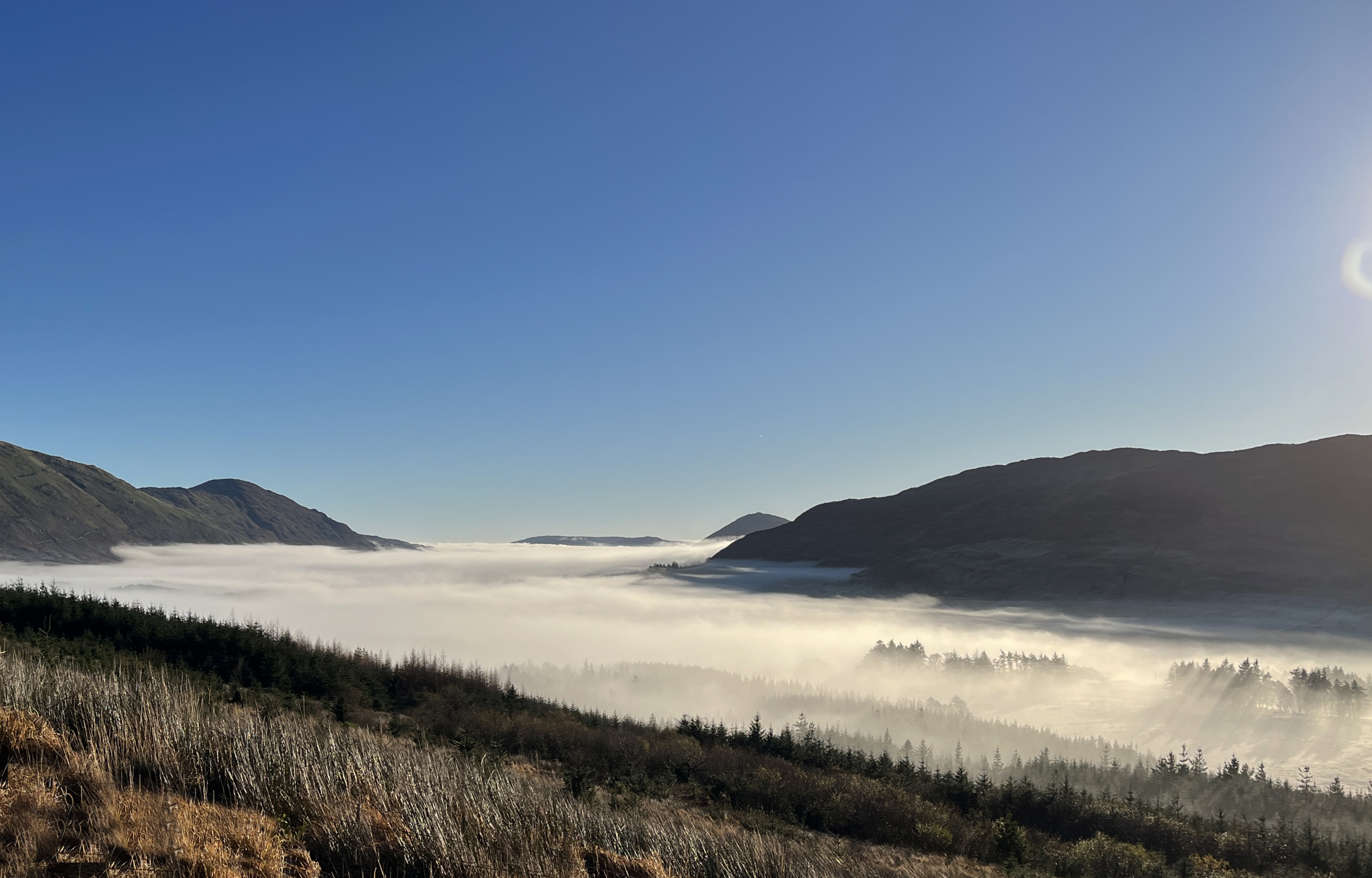 Irish mist