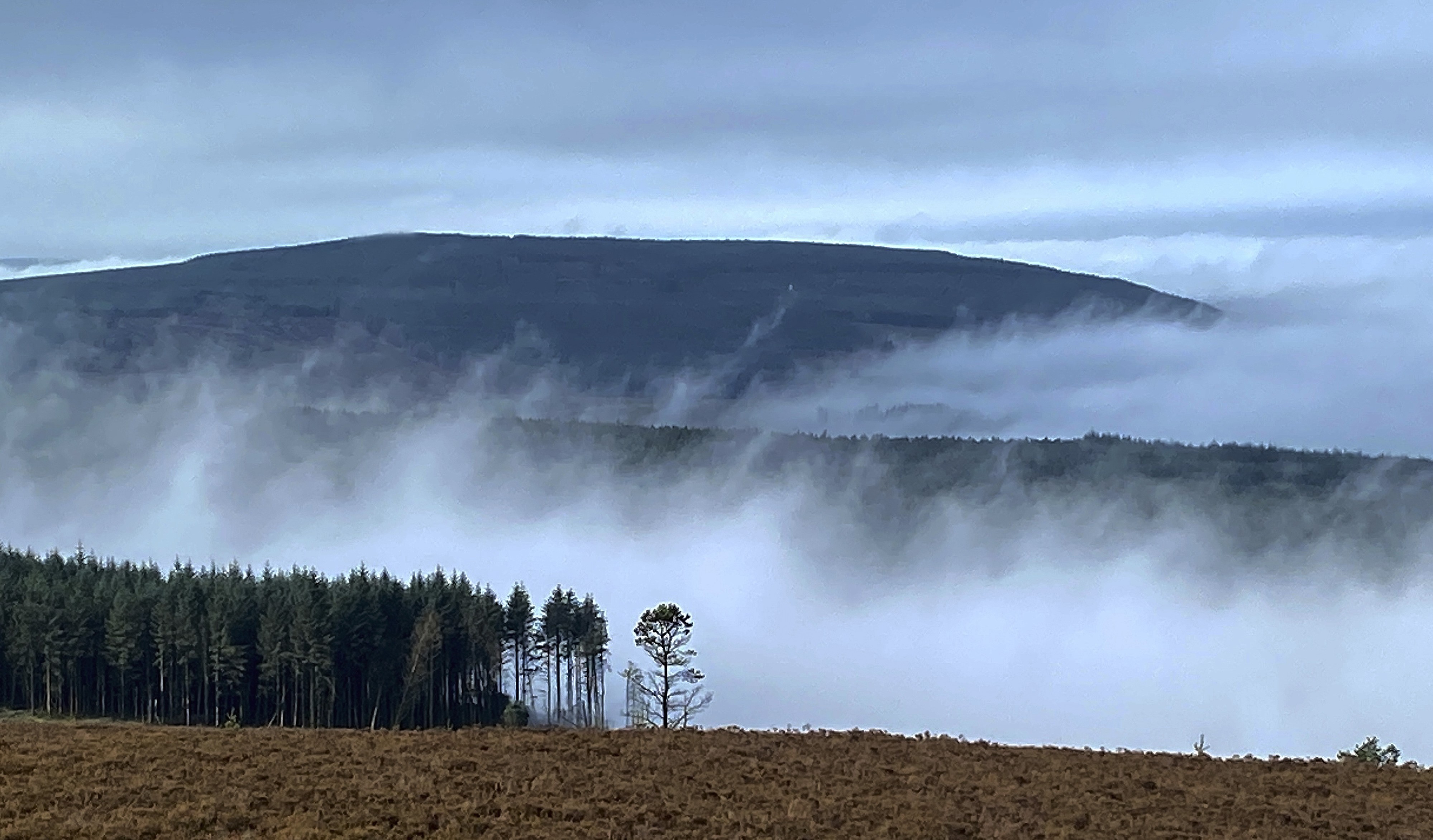 Early morning mists seen from the North Top